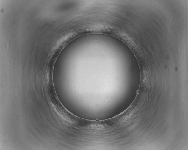 X0000065240636200602171425