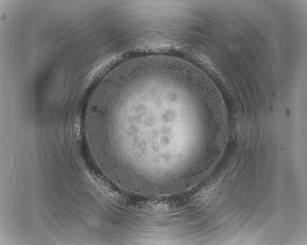 X0000065240640200602171425