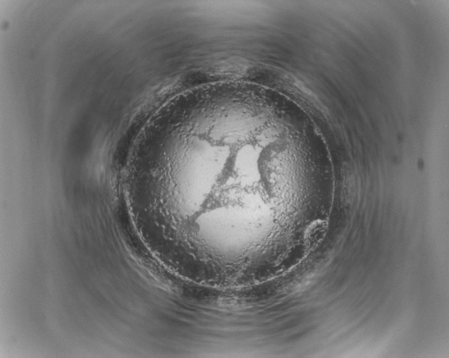 X0000065240641200602171425