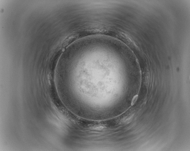 X0000065240643200602171425