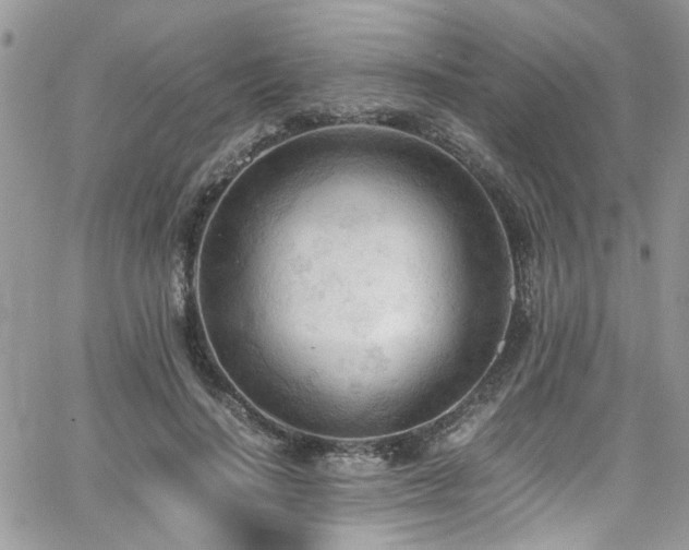 X0000065240644200602171425