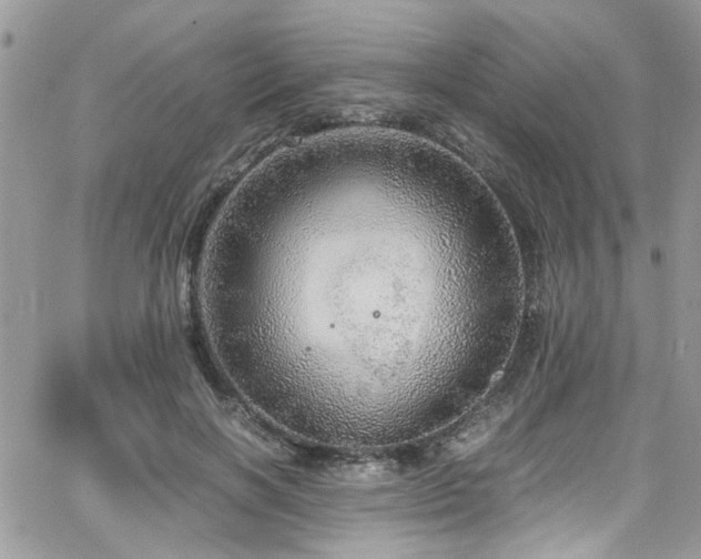 X0000065240646200602171425