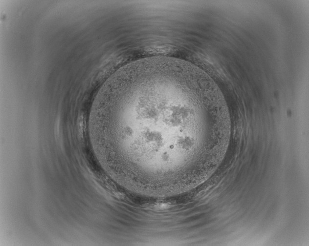 X0000065240647200602171425