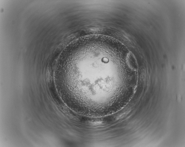 X0000065240651200602171425