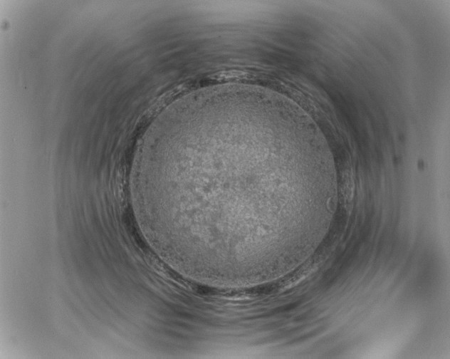 X0000065240653200602171425