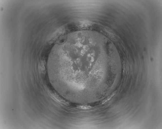 X0000065240654200602171425