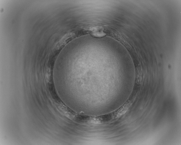 X0000065240656200602171425