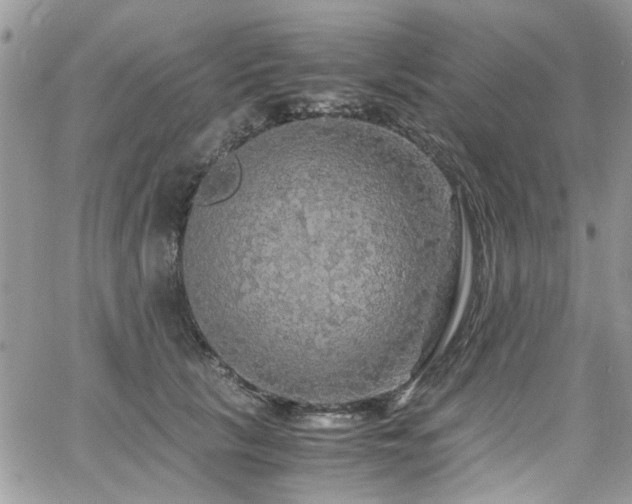 X0000065240657200602171425