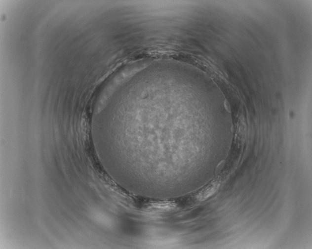 X0000065240659200602171425