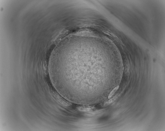 X0000065240661200602171425