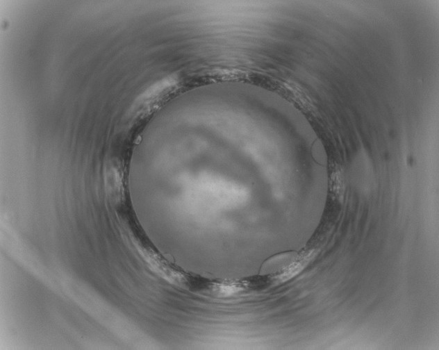 X0000065240662200602171425