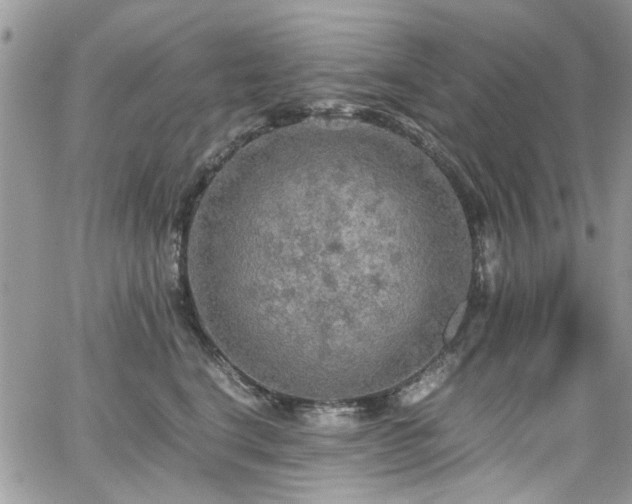 X0000065240664200602171425