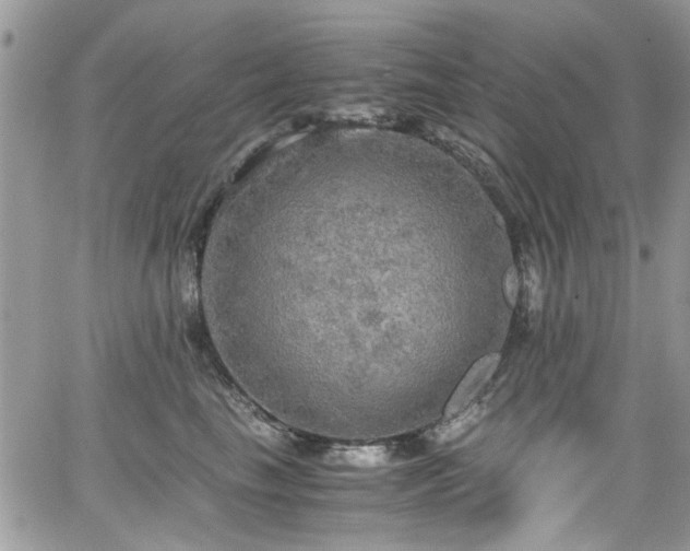 X0000065240665200602171425