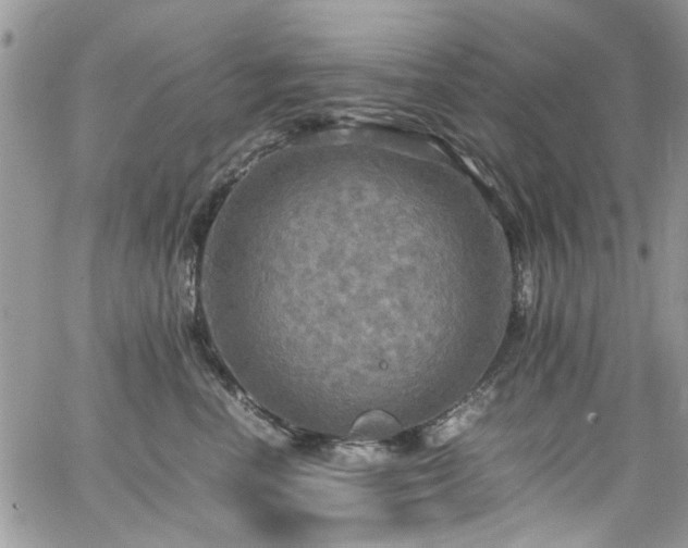 X0000065240666200602171425