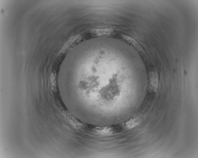 X0000065240667200602171425