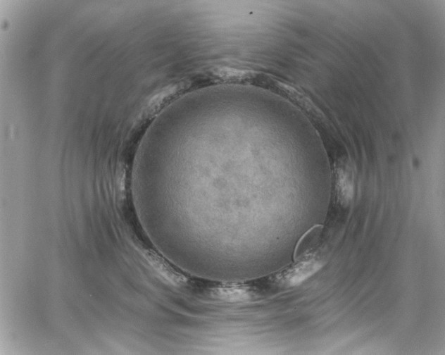 X0000065240668200602171425