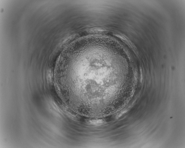 X0000065240669200602171425