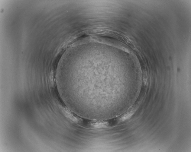 X0000065240670200602171425