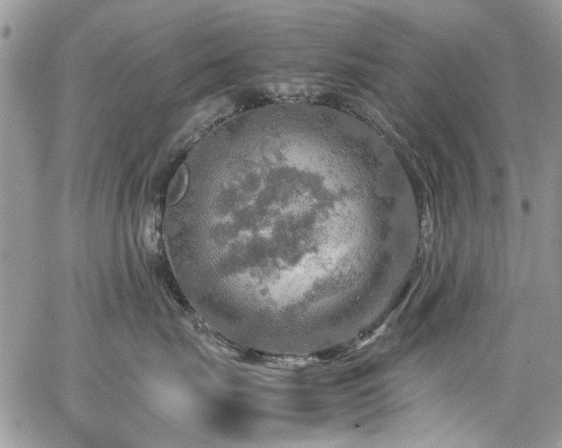 X0000065240671200602171425