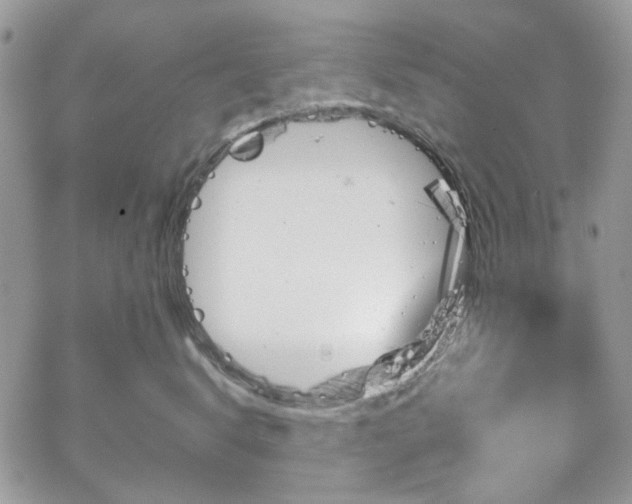 X0000065240672200602171425