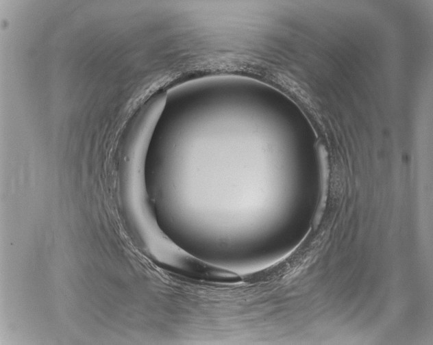 X0000065240673200602171425