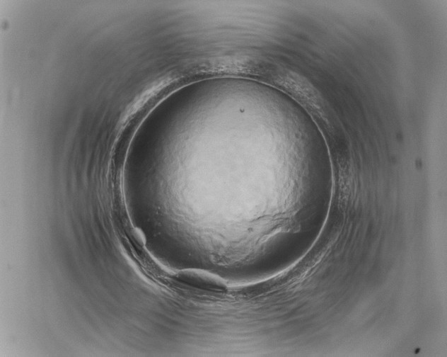 X0000065240674200602171425