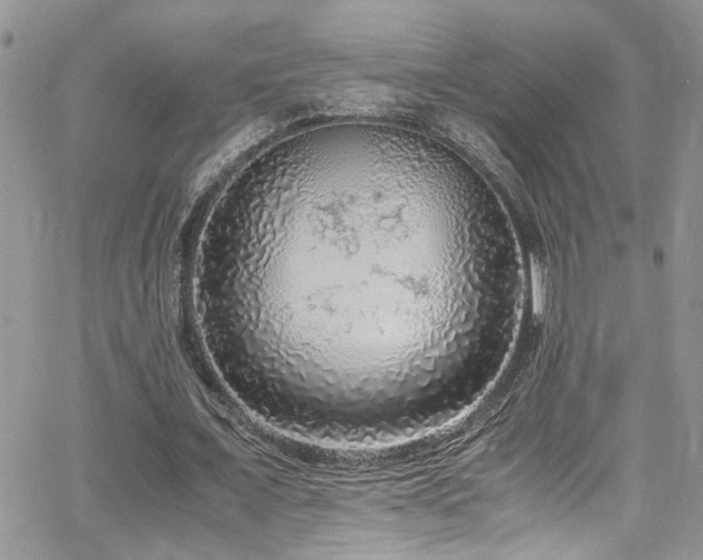 X0000065240675200602171425