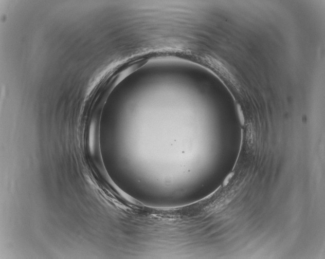 X0000065240676200602171425