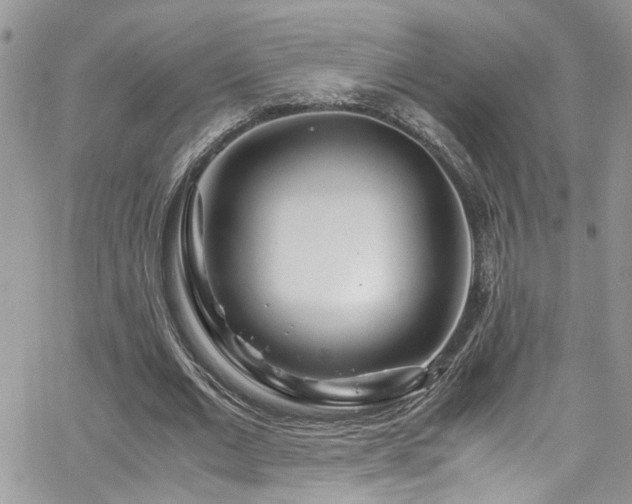 X0000065240677200602171425