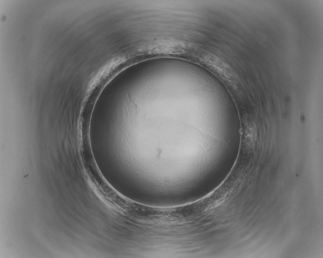 X0000065240678200602171425