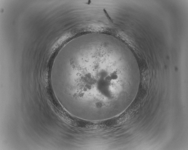 X0000065240679200602171425