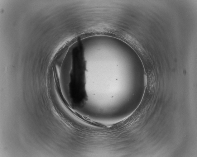 X0000065240680200602171425