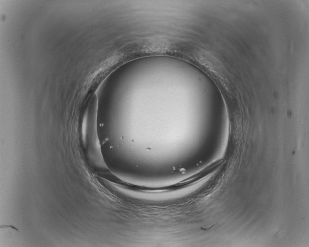 X0000065240681200602171424