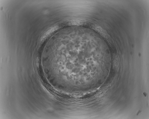 X0000065240683200602171424