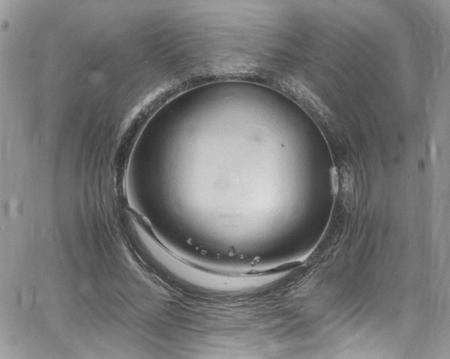 X0000065240684200602171424