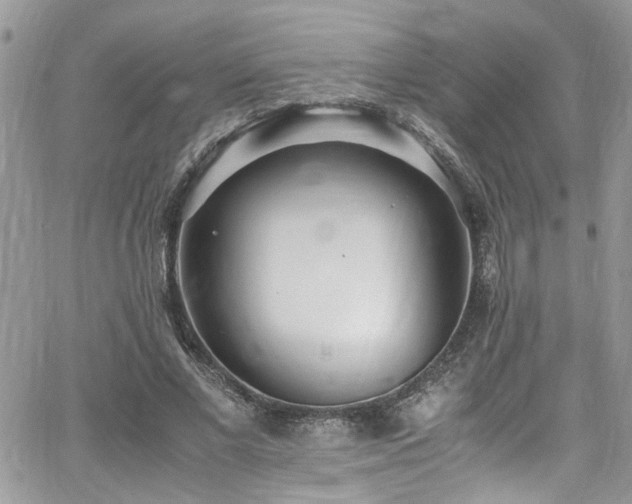 X0000065240685200602171424