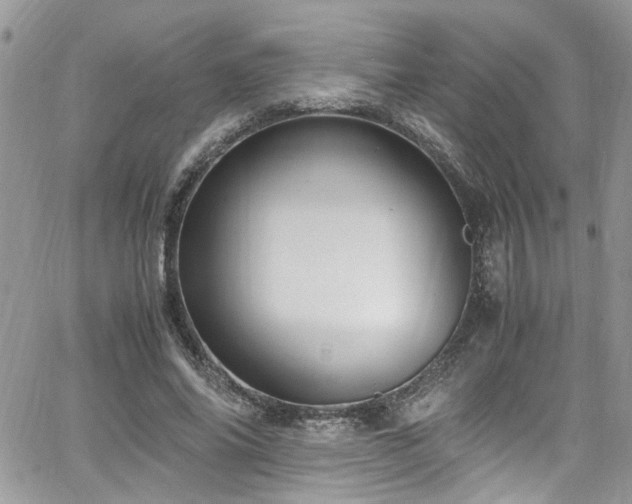 X0000065240686200602171424