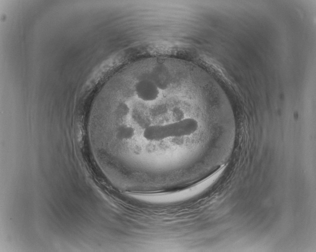 X0000065240687200602171424