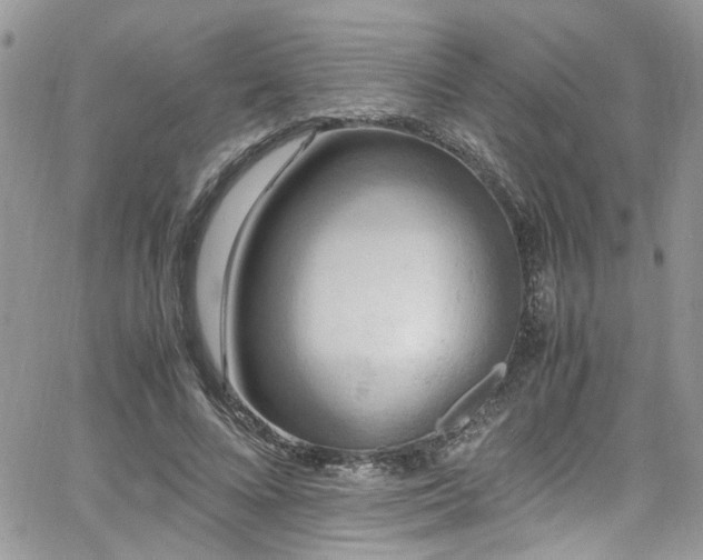 X0000065240688200602171424