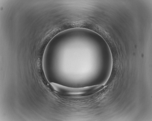 X0000065240689200602171424