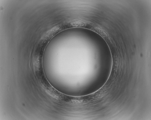 X0000065240690200602171424