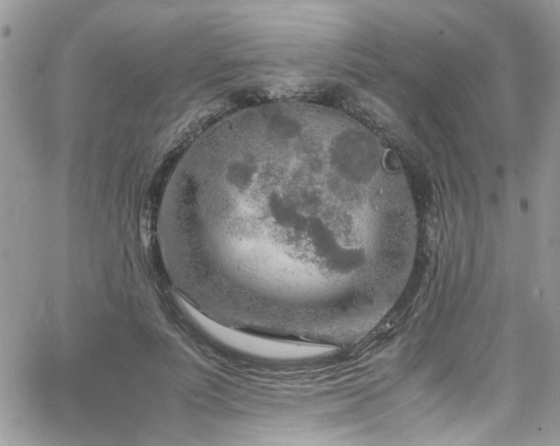 X0000065240691200602171424