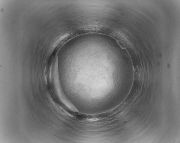 X0000065240692200602171424