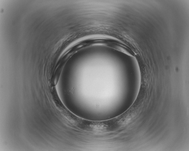 X0000065240693200602171424