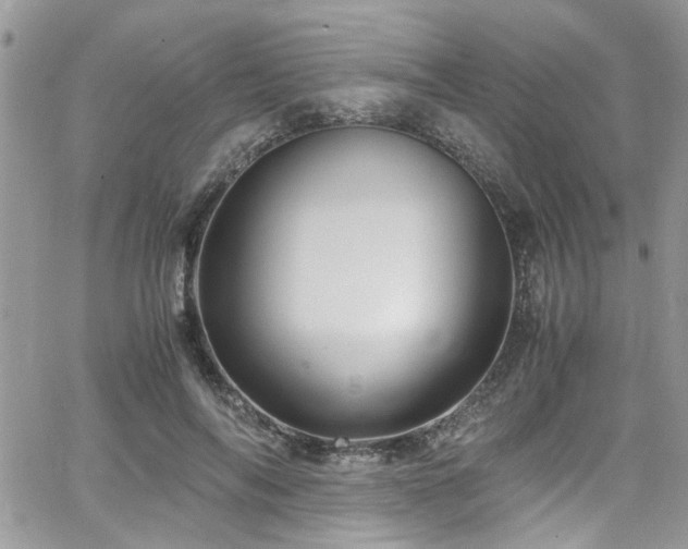 X0000065240694200602171424