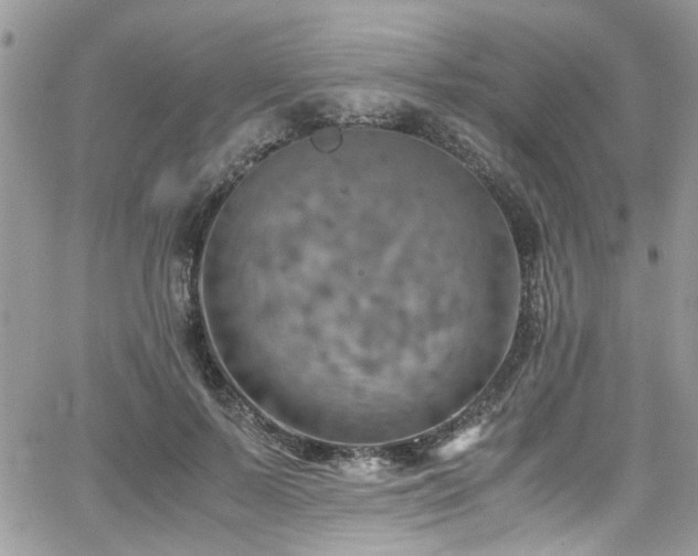 X0000065240695200602171424