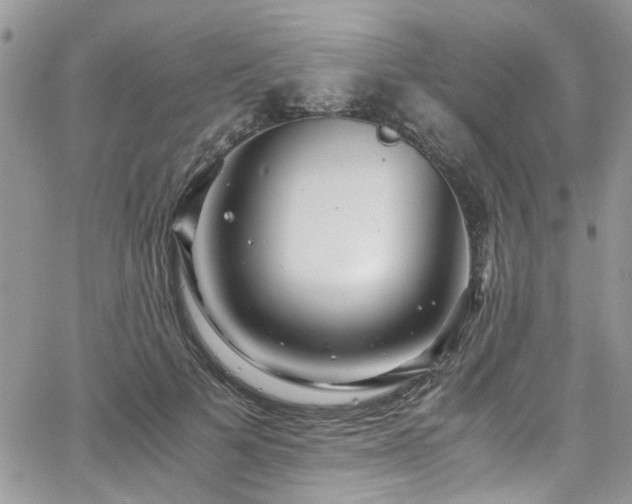 X0000065240697200602171424