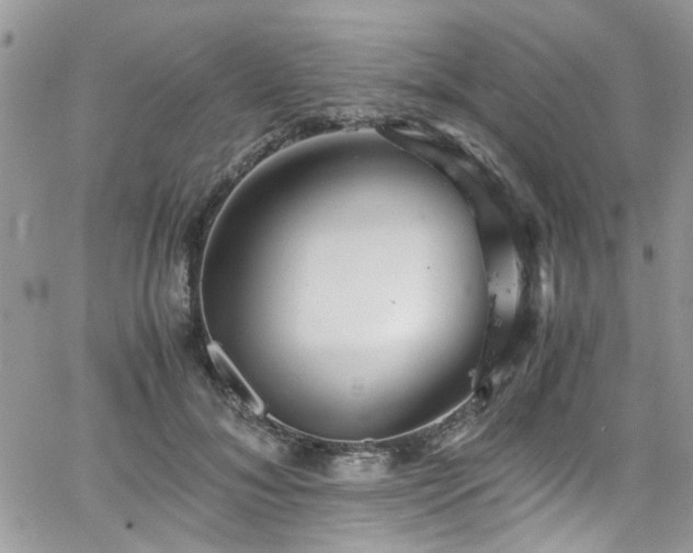 X0000065240700200602171424