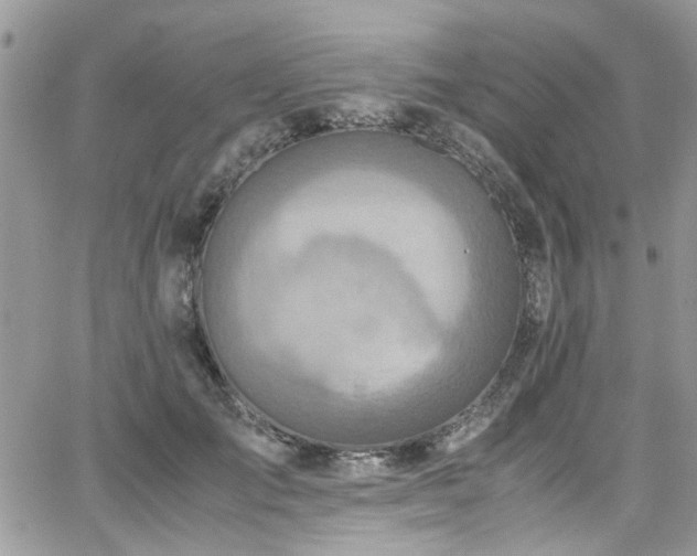 X0000065240701200602171424