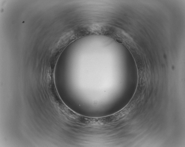 X0000065240702200602171424